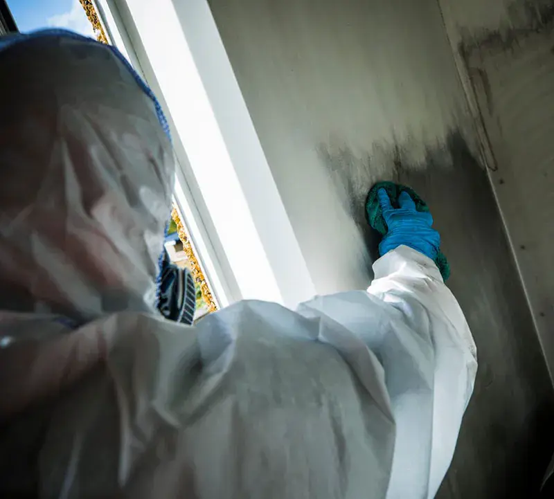 Smoke Remediation services